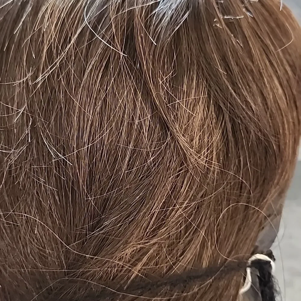 Brown w/Hilite NEW WIG, layered & textured style with Mono Part HEAT FRIENDLY